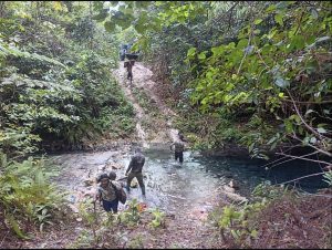 IMG-20260805-WA0050